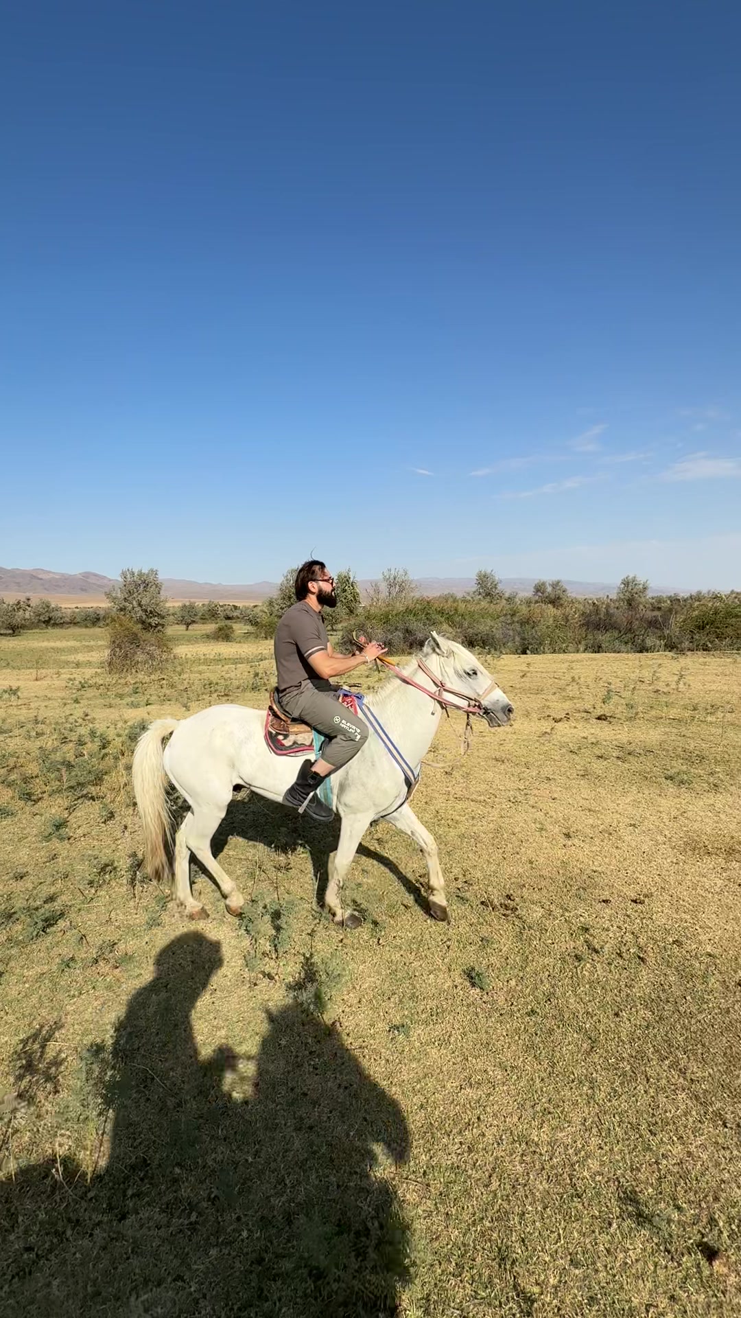 @Konnaya_progulka_taraz🐎