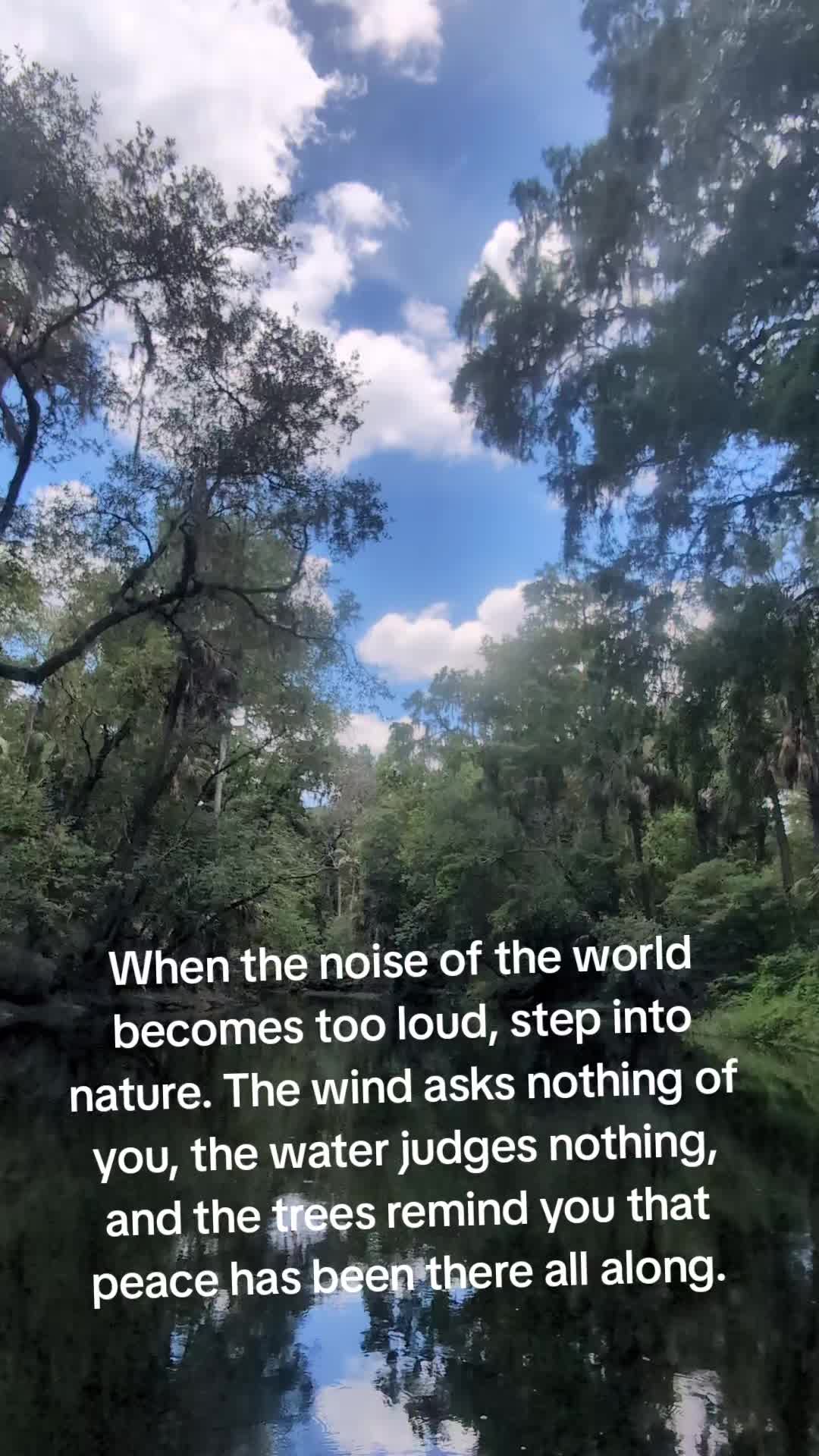 @jerzeyboysouth