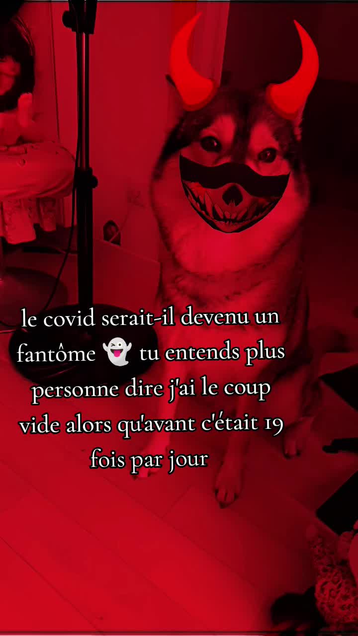 @dog et demon ➕😈 de lenfer ➕👻