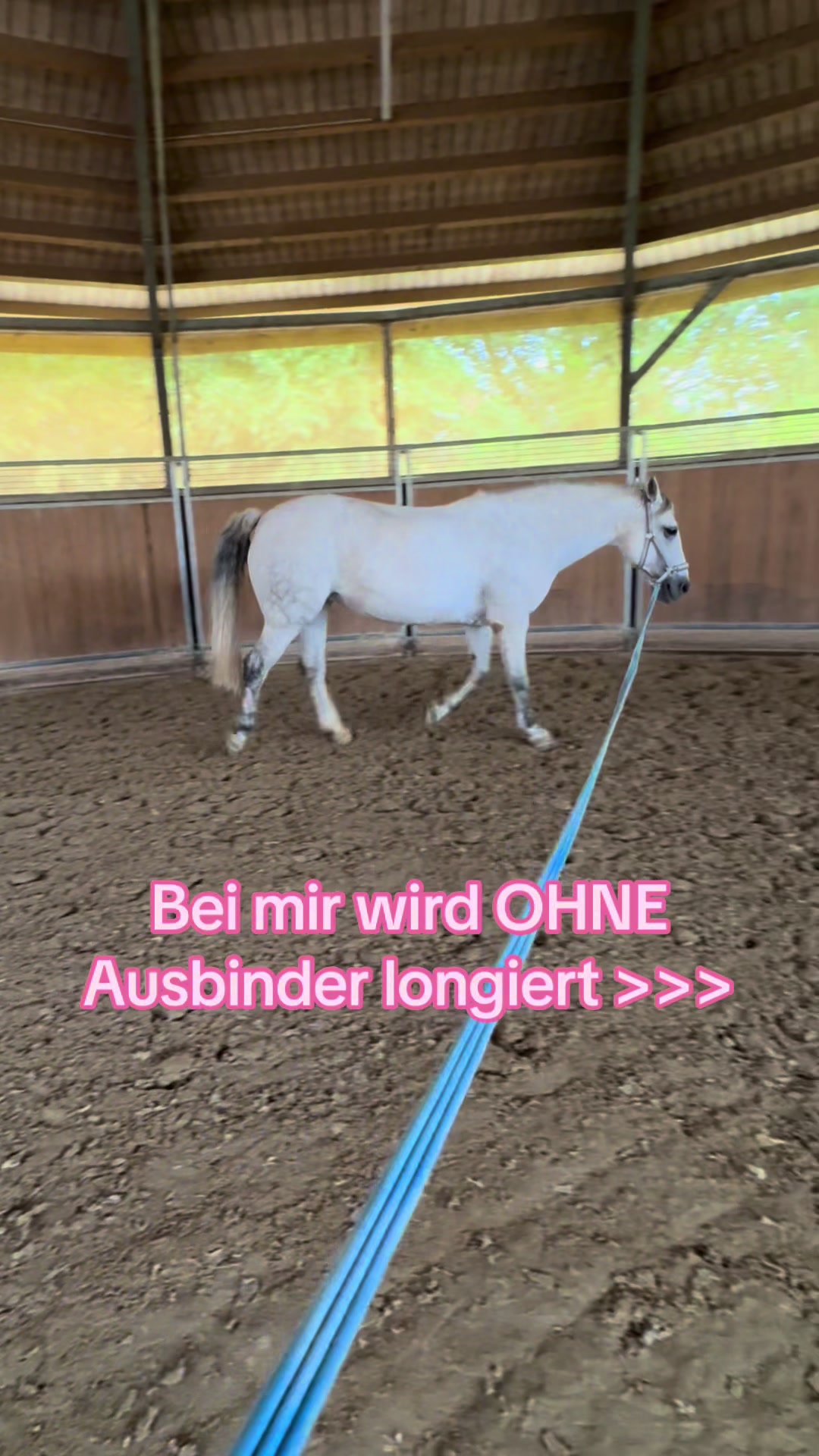 @๐ Dancer & Leonie ๐