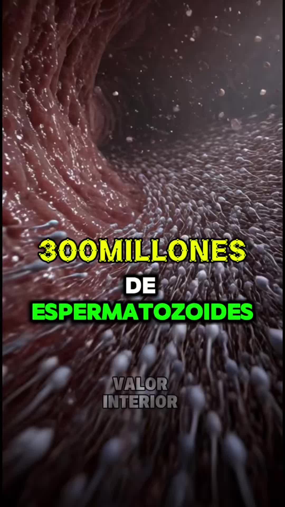 @Historias de amor