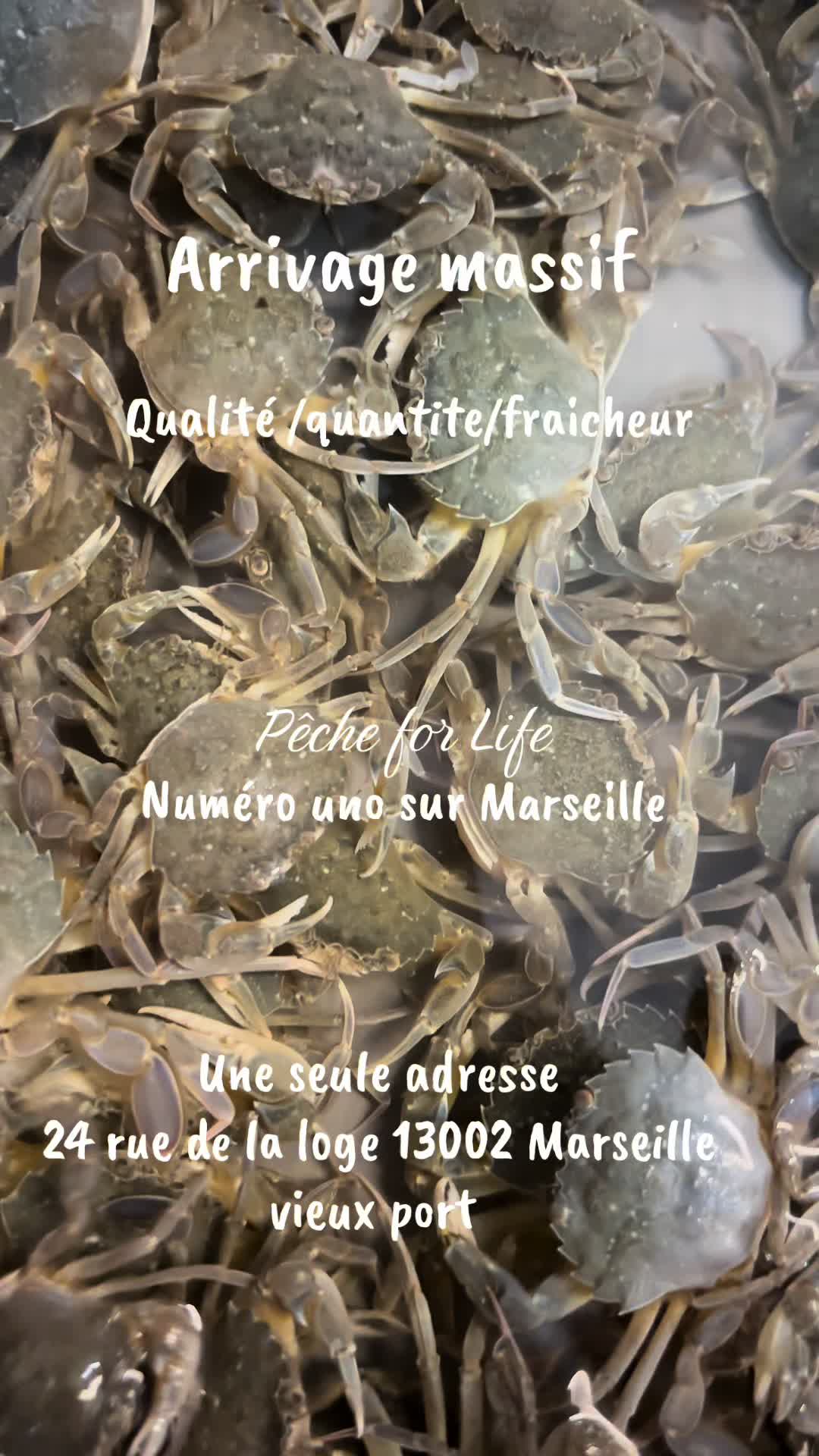 @P&ecirc;che for Life