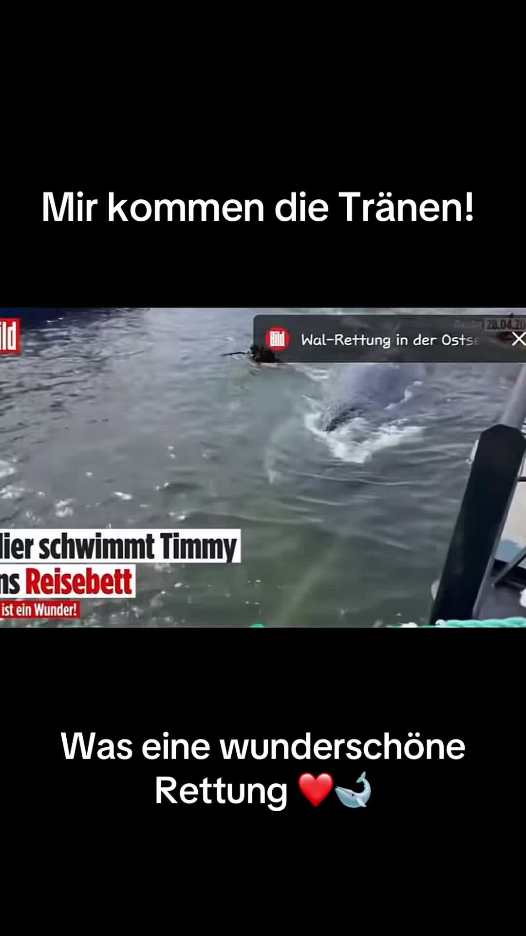 @Rettet Hope 🐋