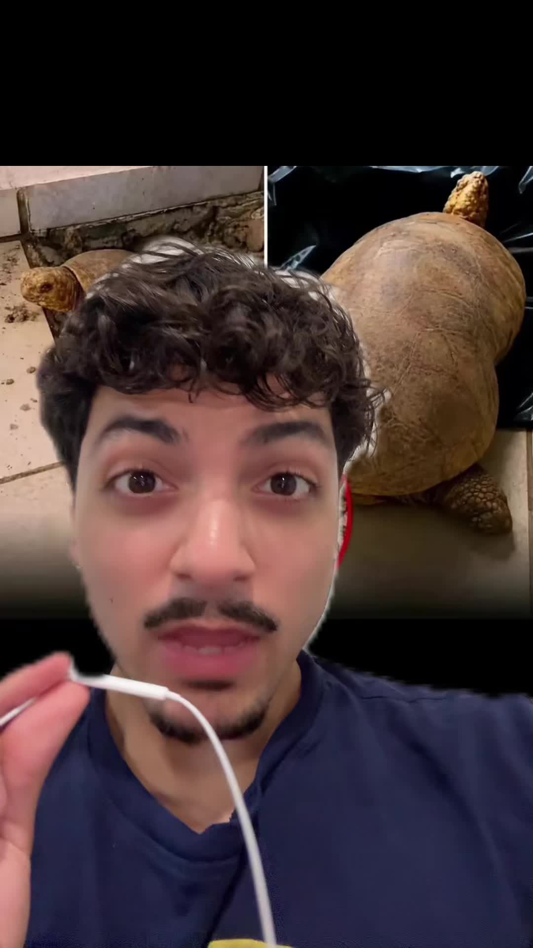 @Sbladn