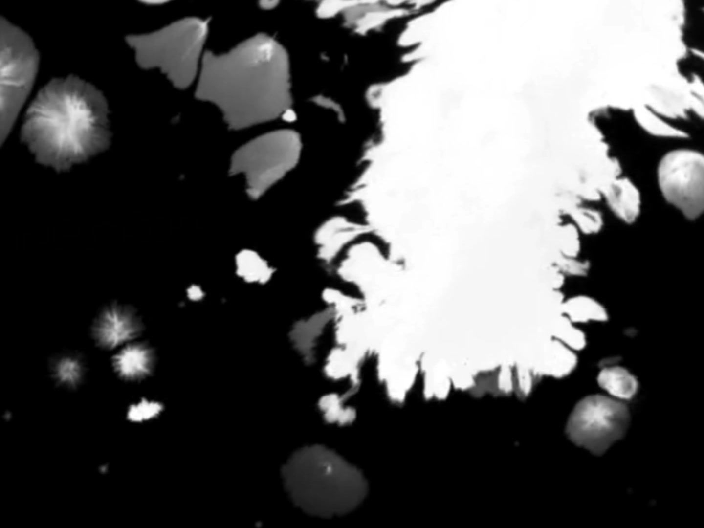 @★ 𝒕𝒊𝒔𝒉𝒌𝒂