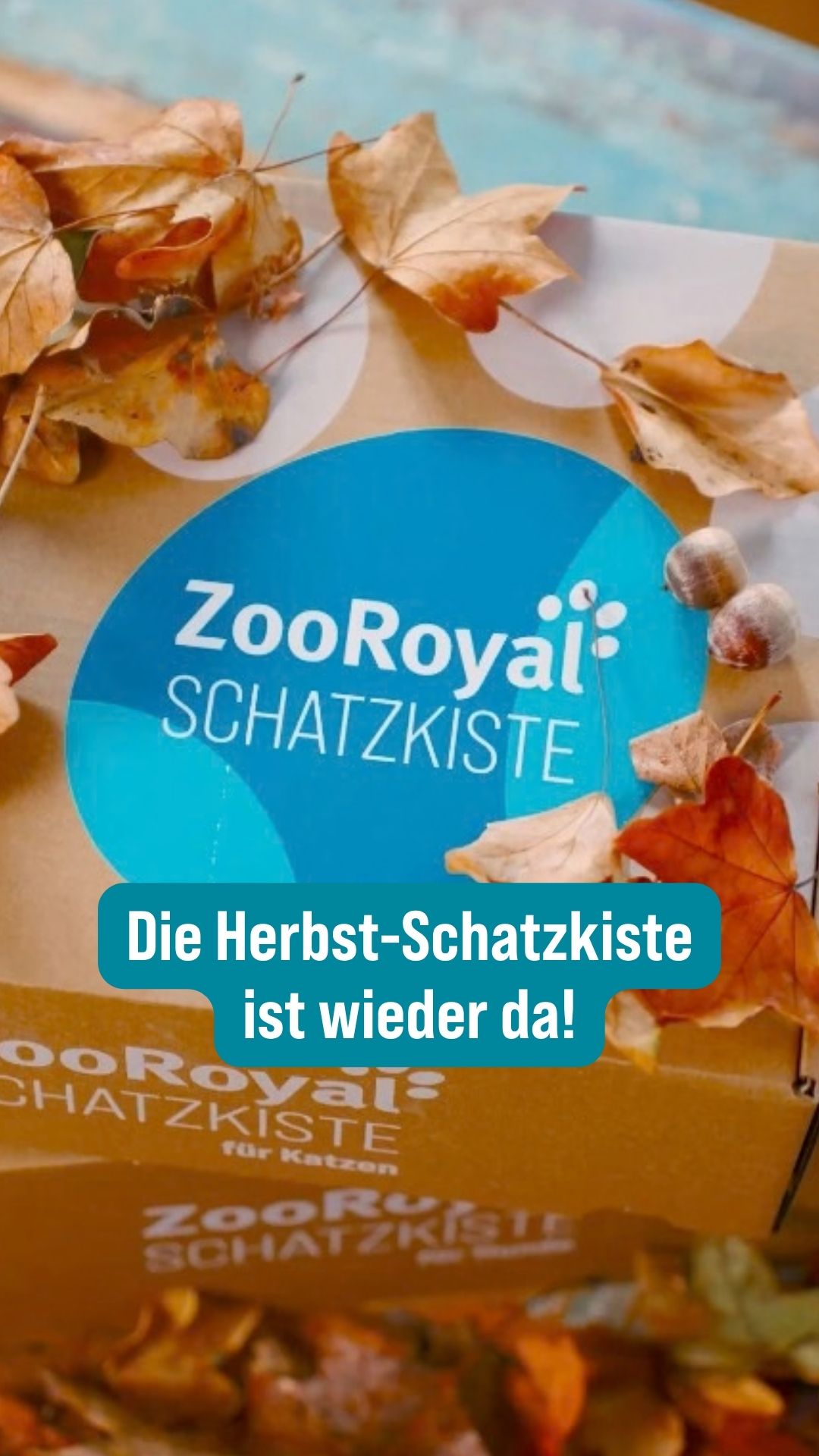 @ZooRoyal