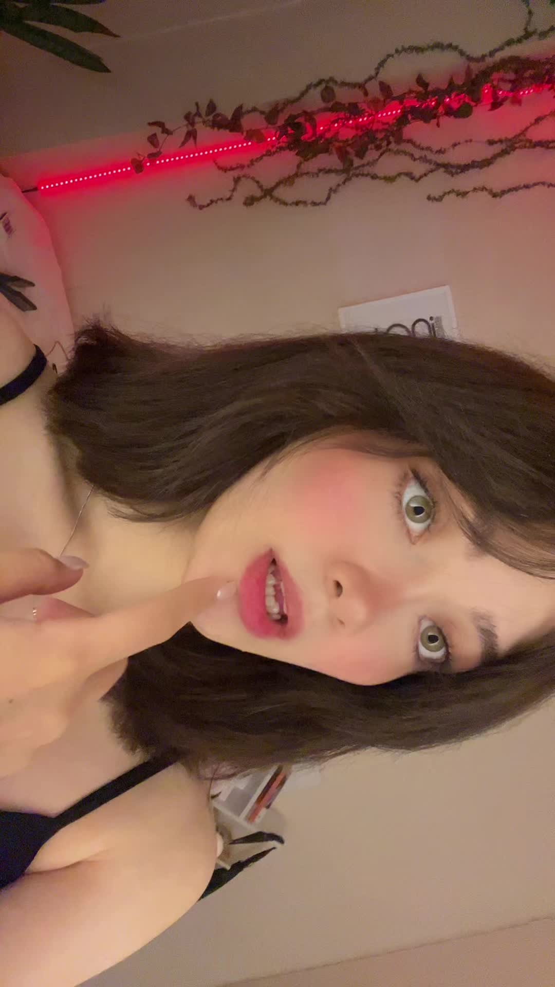@shimeow