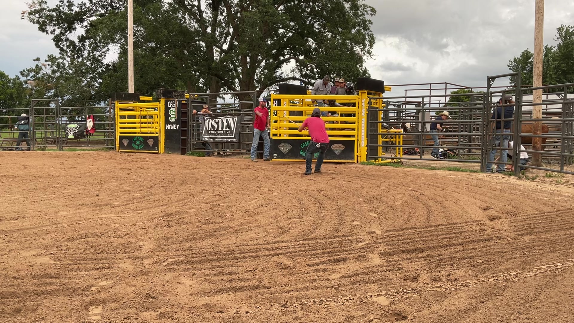 @mamasboyroughstock