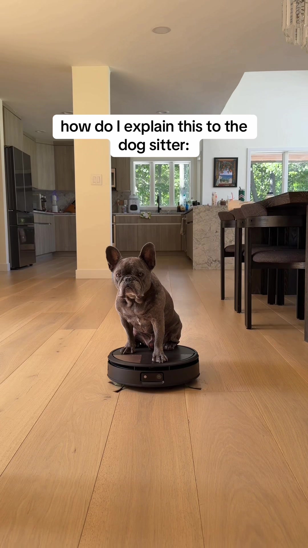 @Winston & Charlie ๐พ