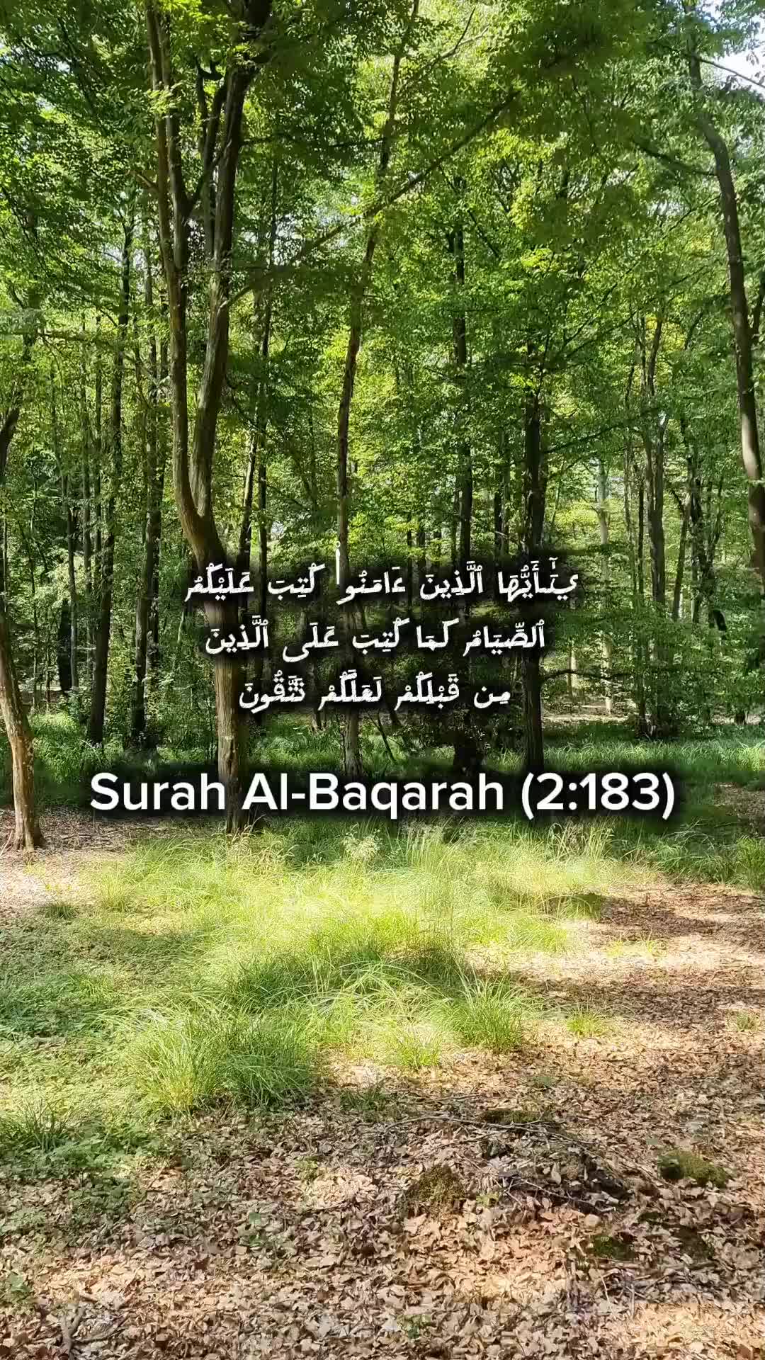 @Amjad