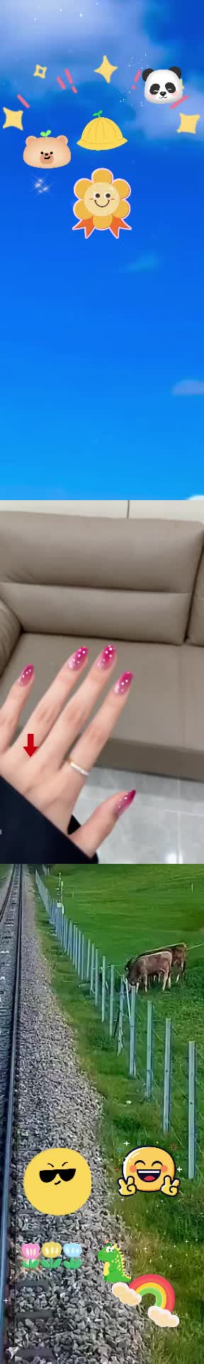 @xsfts8923