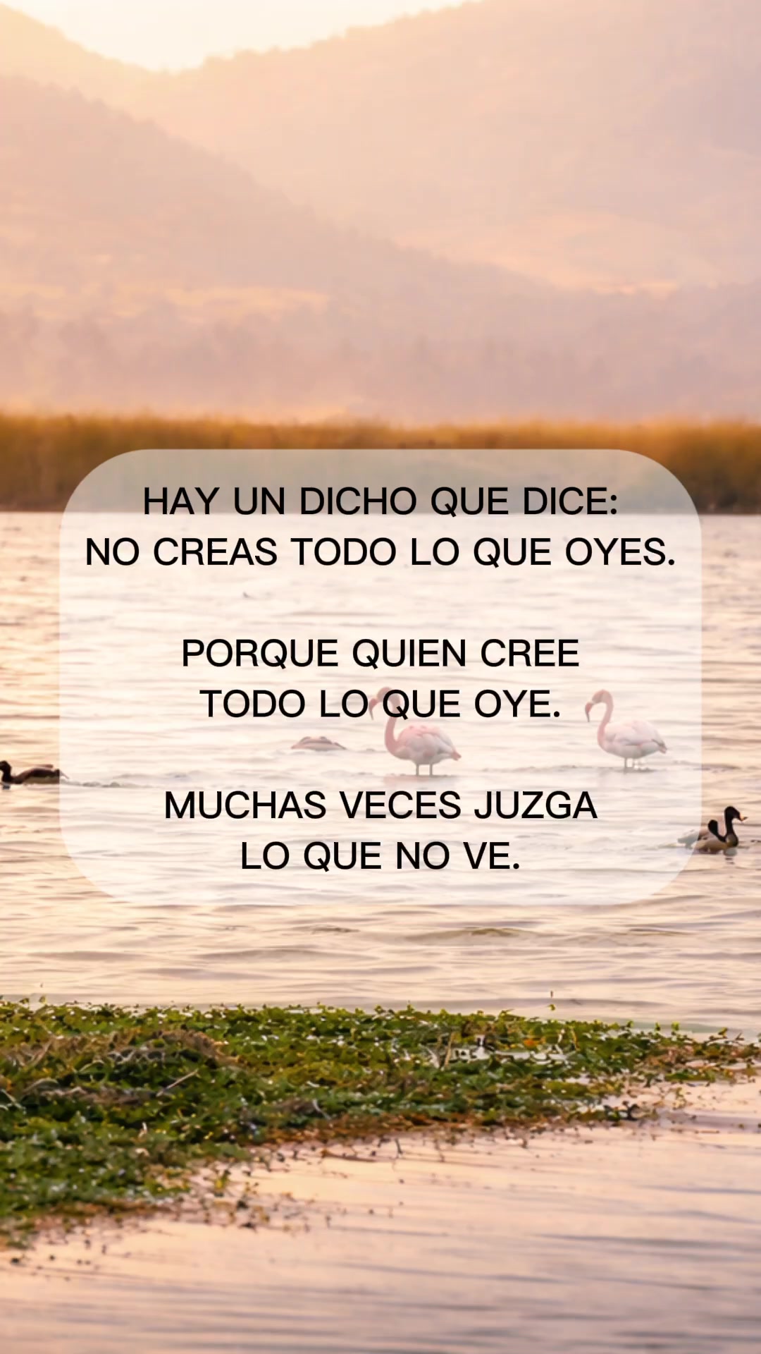 @Alizze🦋