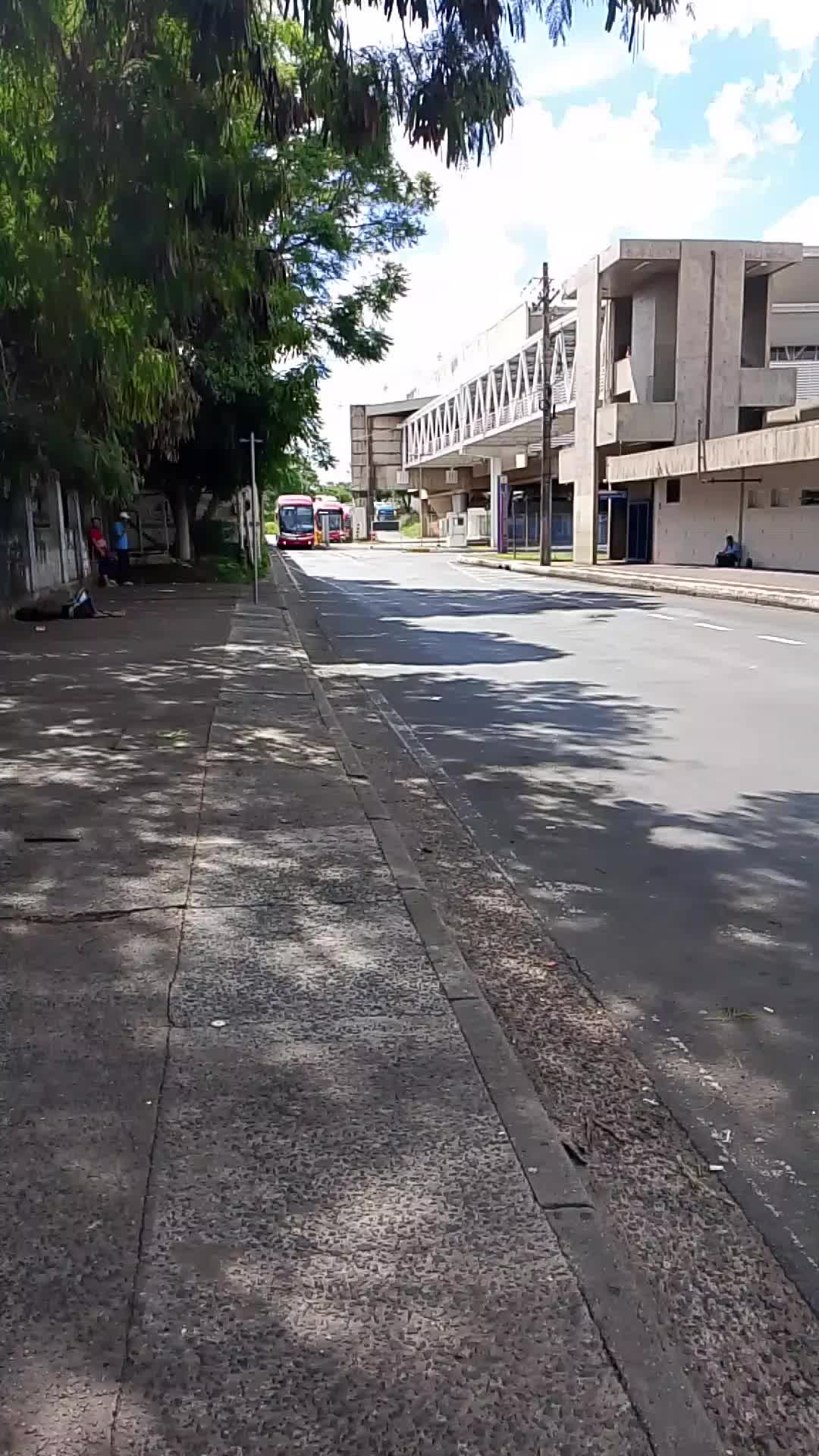 @alebuarquerodoviario