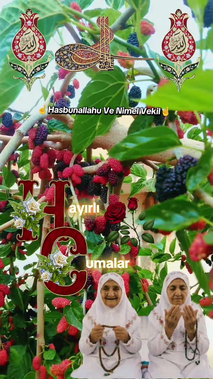 @🇹🇷҉͜͡✭DAMLA🦂GÜL🇦🇿҉͜͡✭