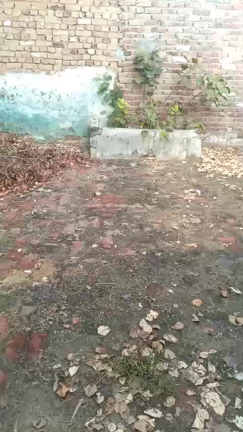 @A. Malik