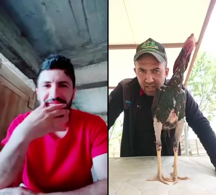 @Demreli Cane