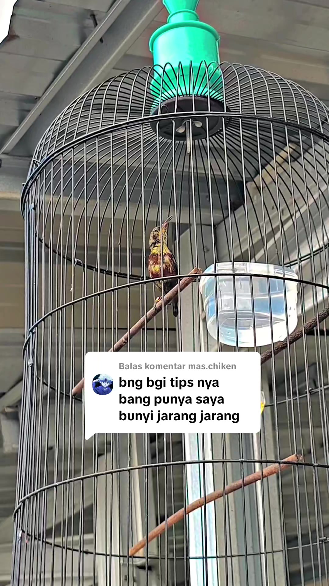@banjarrayasquad