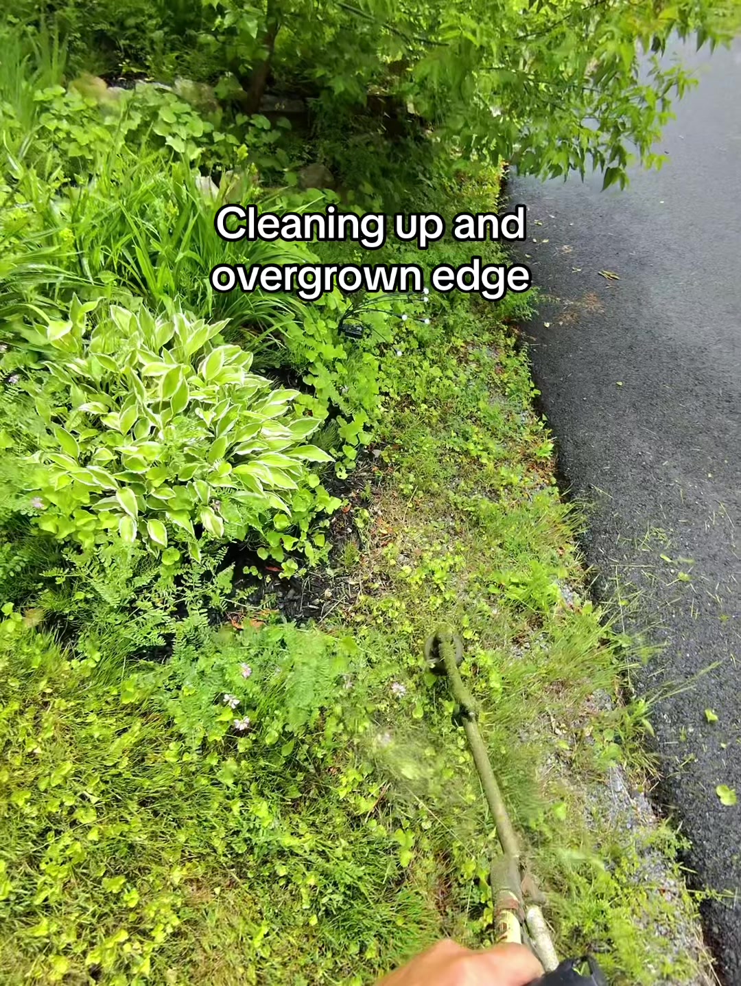 @Even Stevens Lawn Care