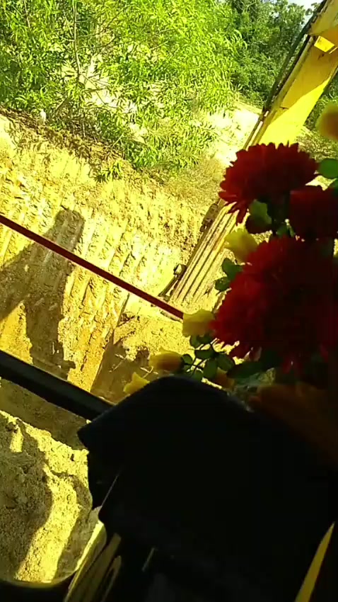 @R ᴀ V ɪ Y ᴀ 🤍🐰