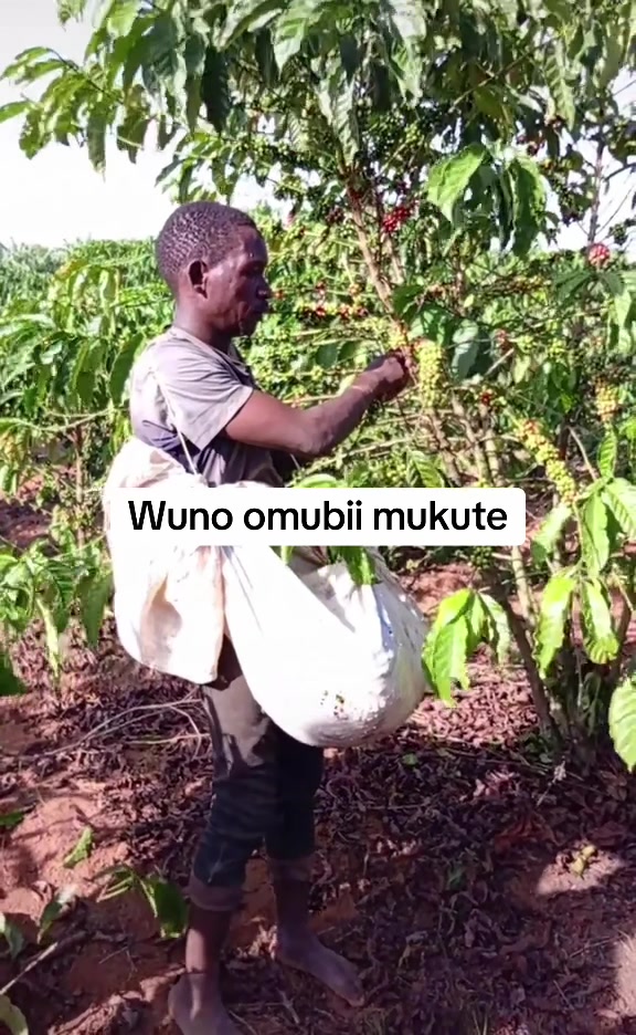 @Omuzana Naisonga
