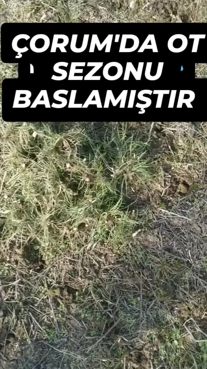 @&Ccedil;ORUMLUYUZ