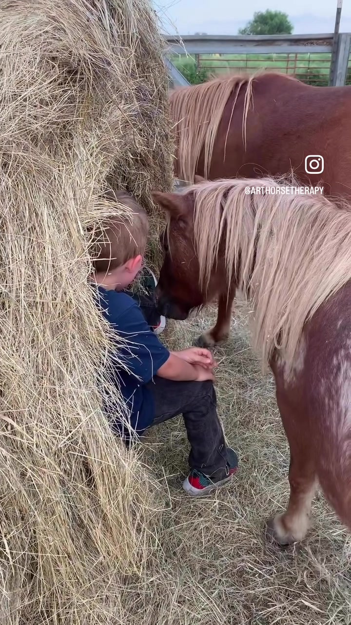 @Horses<>Helping<>Humans