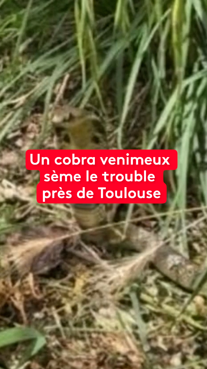 @le20hfrancetelevisions