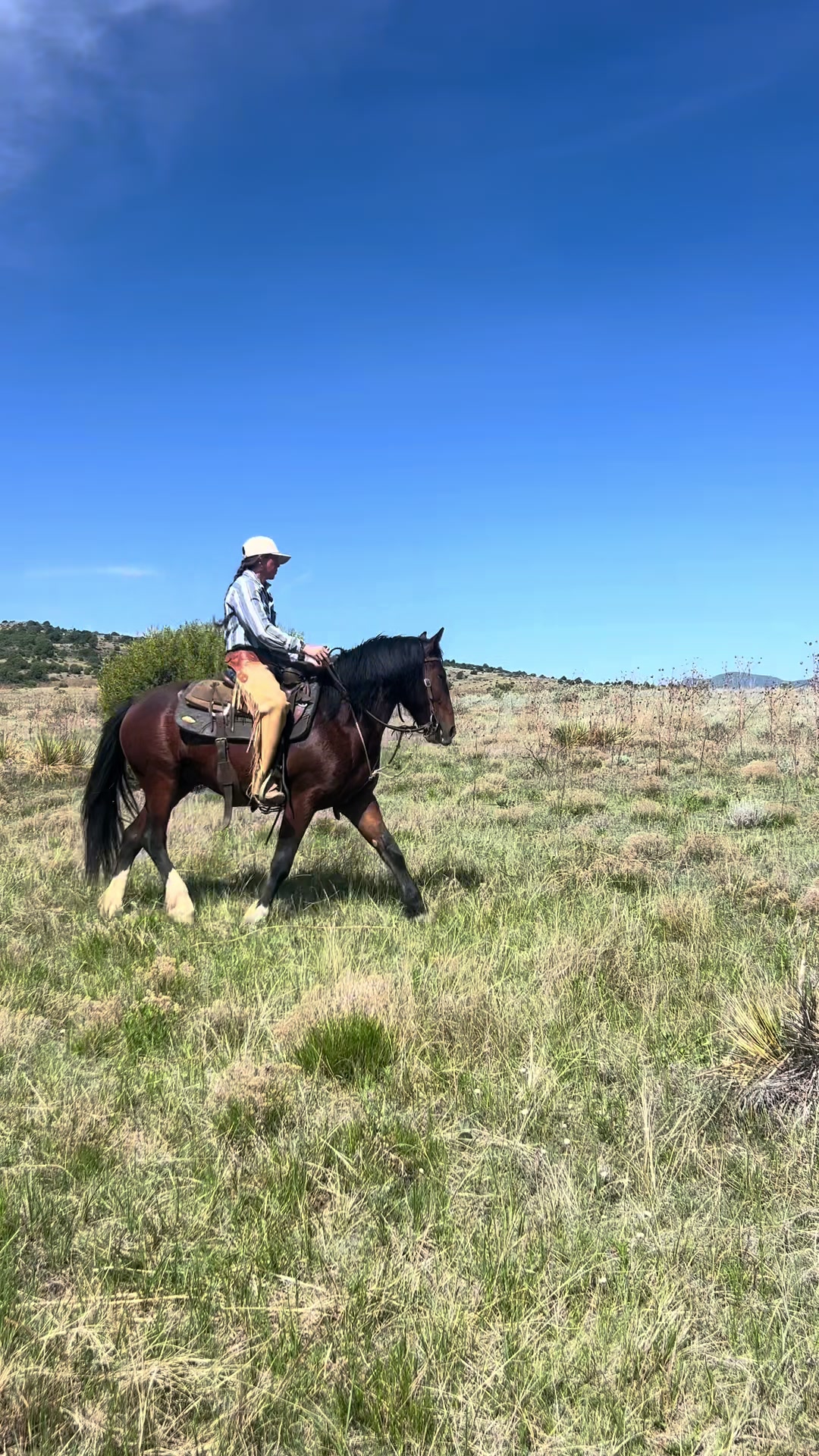 @cowgirlcommentary
