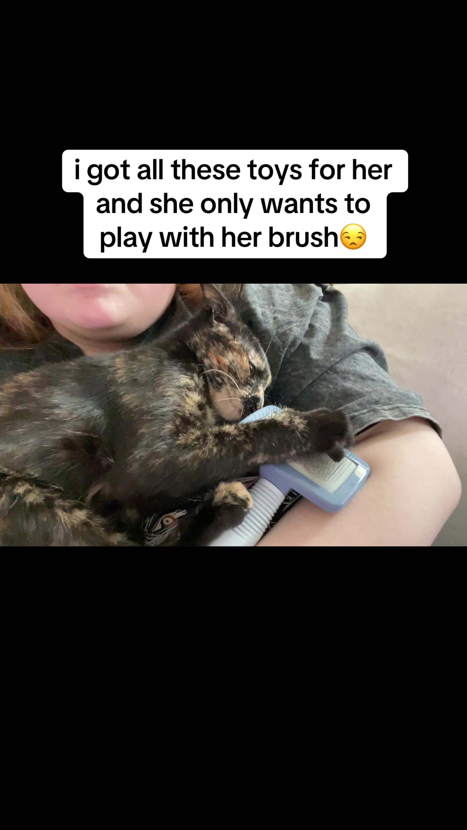 @jaylovesbugs