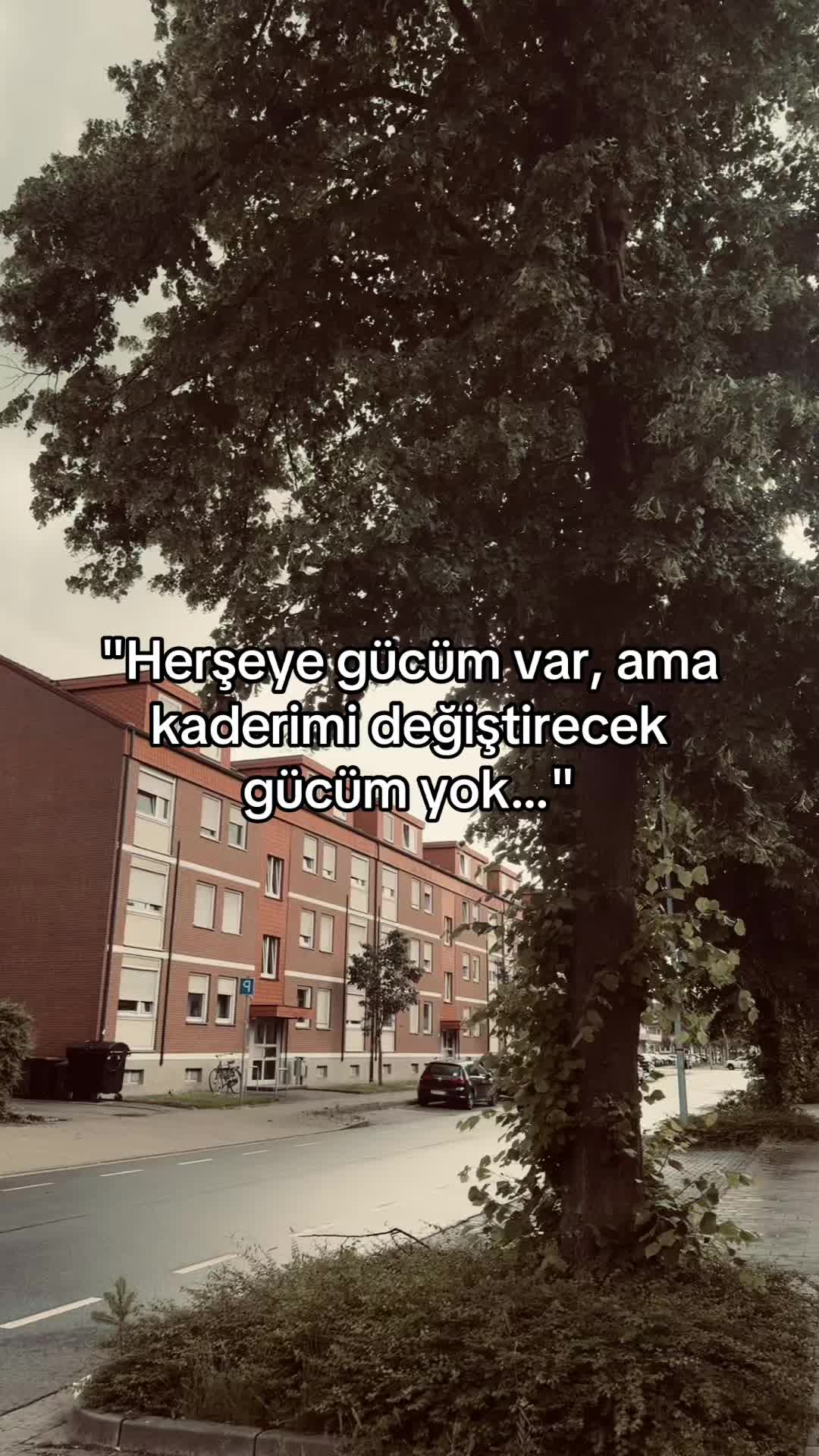 @73_storyy