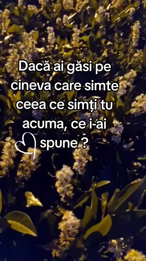 @Doar eu. Y M