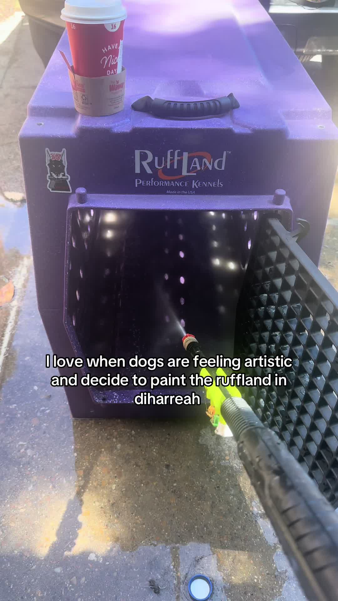 @Kiley - dog trainer