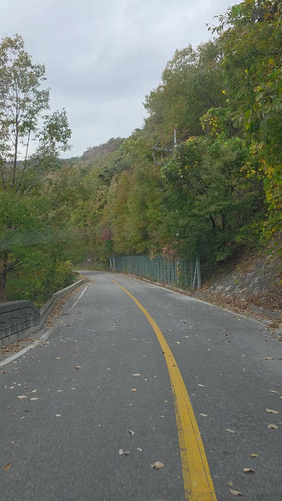 @유튜브 "정선사람들" 안용현