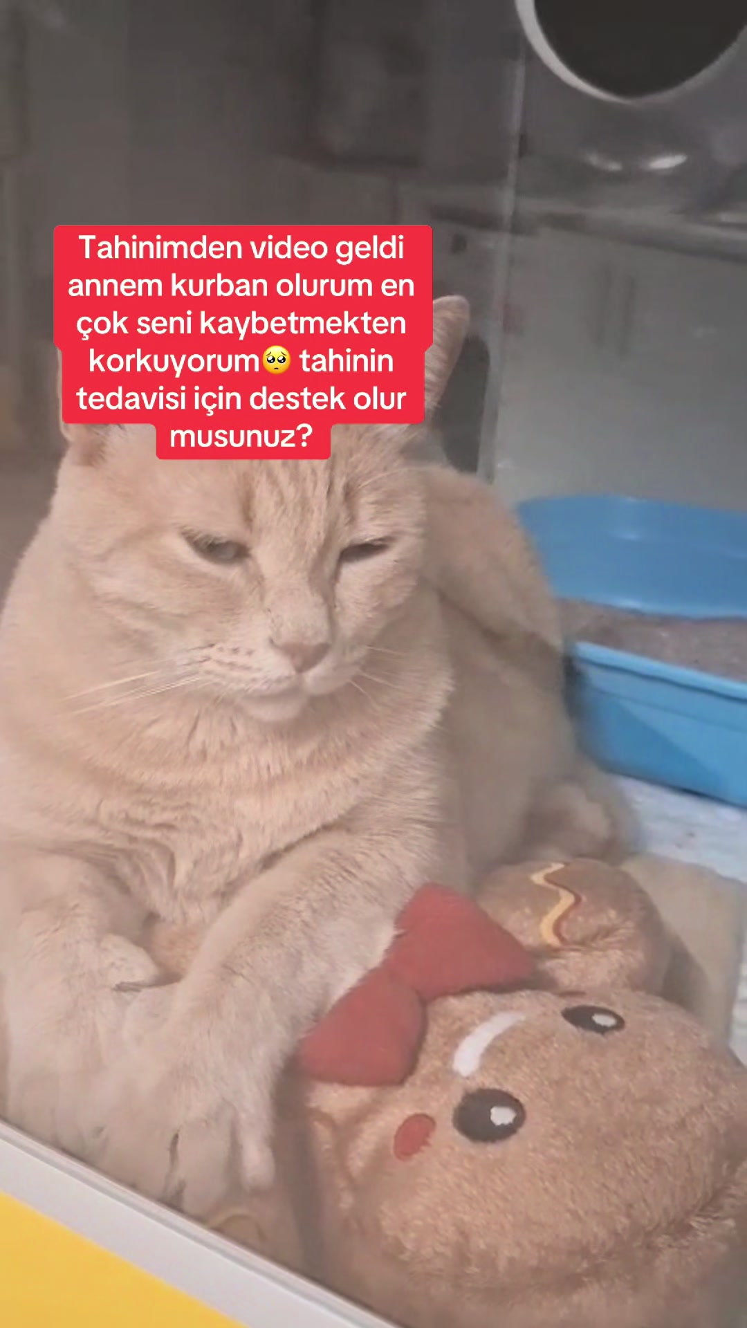 @Yesiminpatileri61