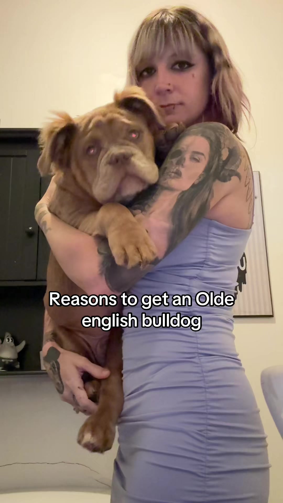 @Queenofvikings