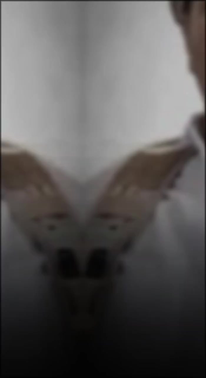 @سعيد نظير العزعزي