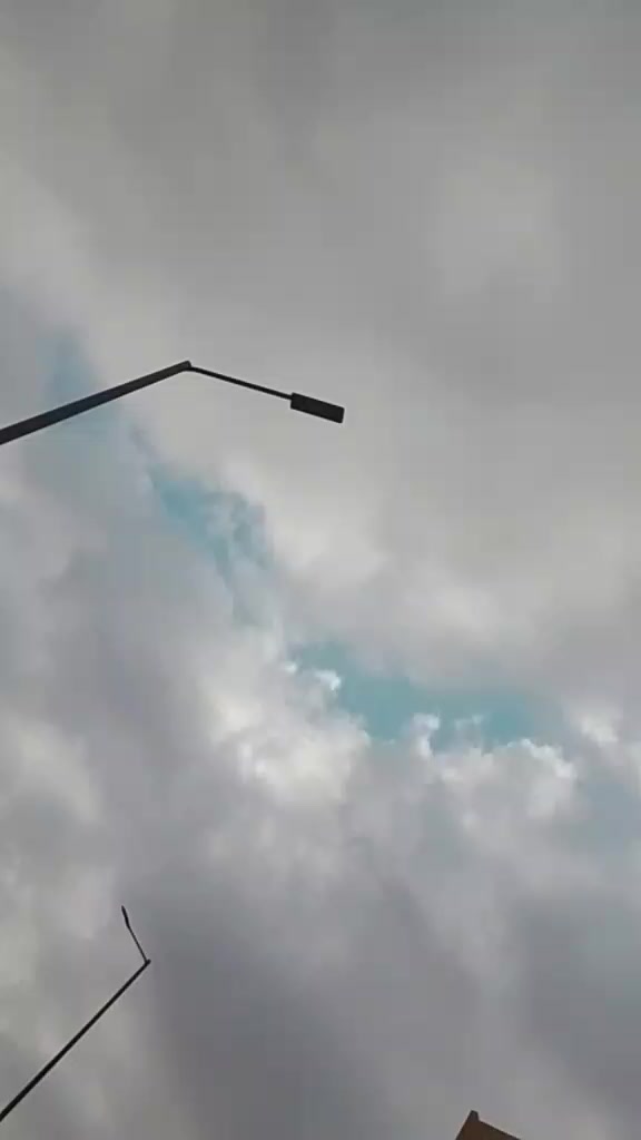 @𝑬𝒍𝒂𝒇 🤎