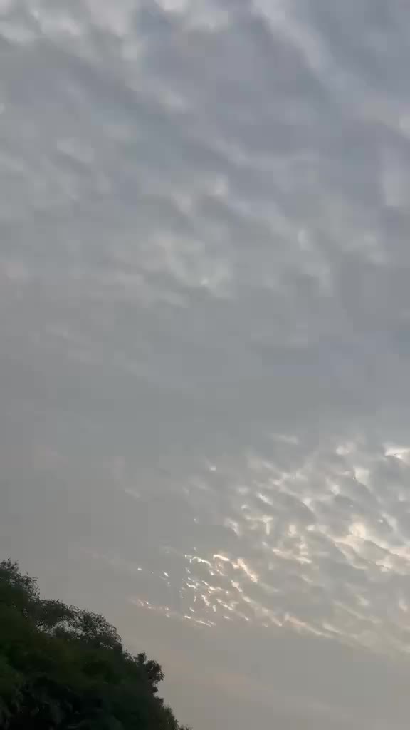 @Muzamil Hayat