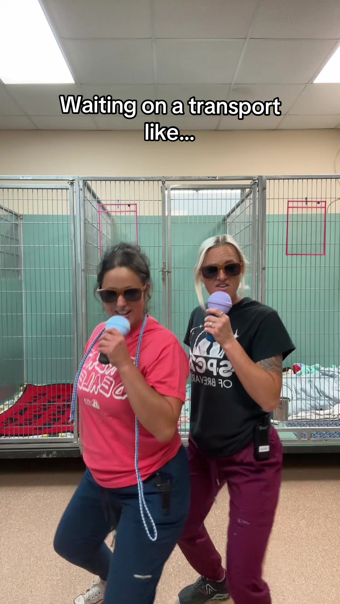 @2vettechs