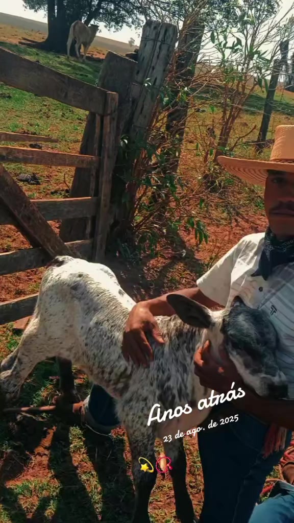 @BENEVIDES🤠🍃
