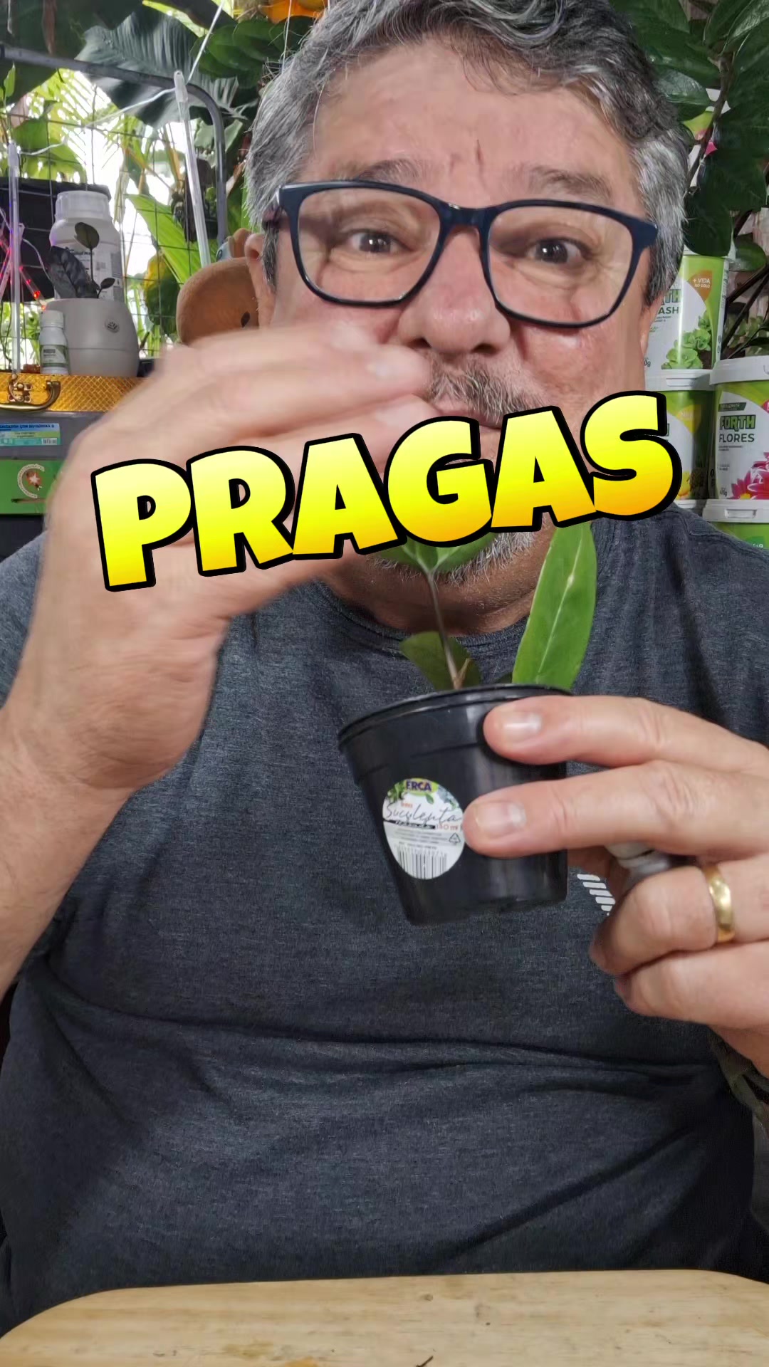 @ROÇA DO DRIM