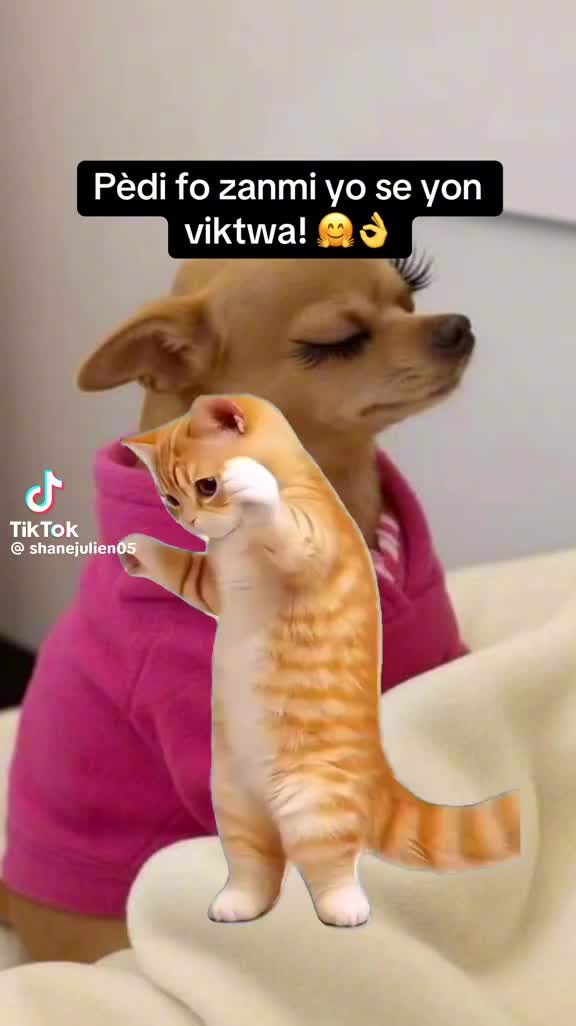 @mayou