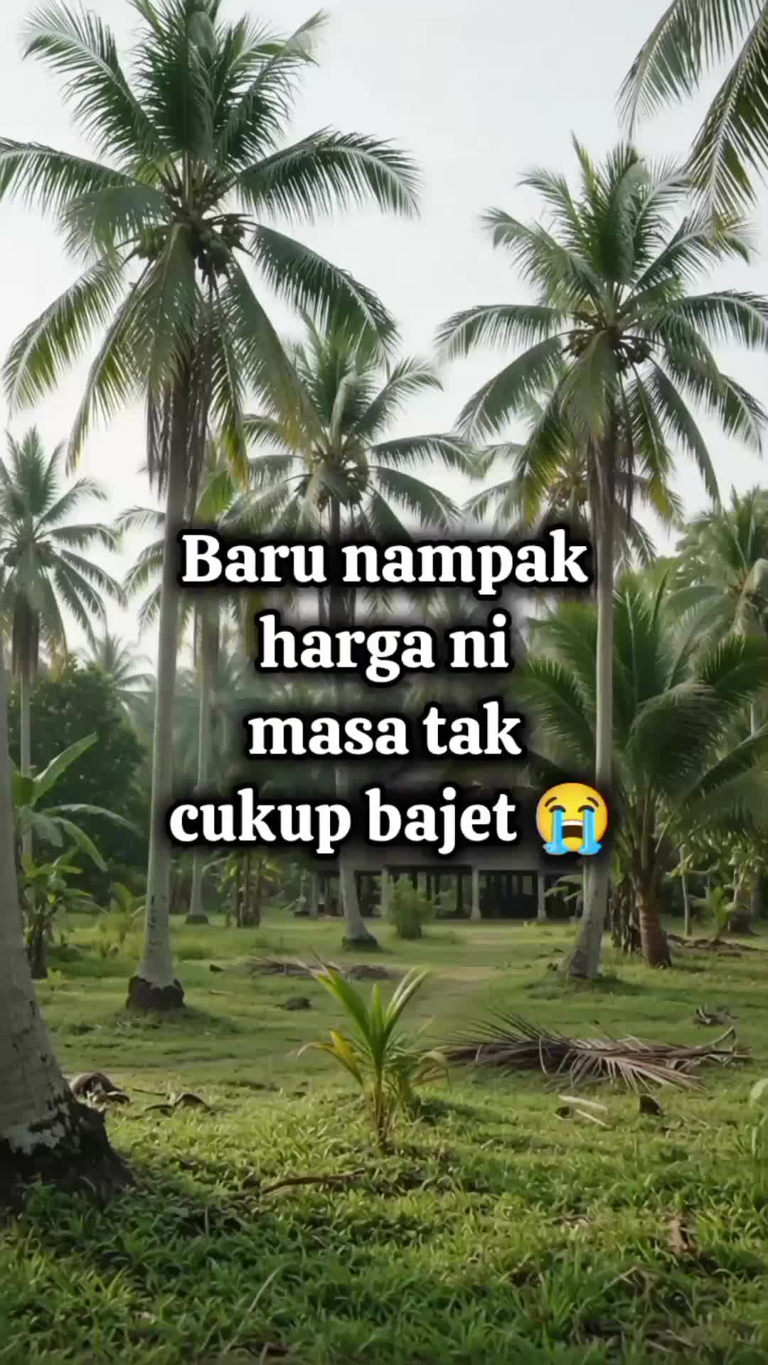 @DyzMayaHanz47