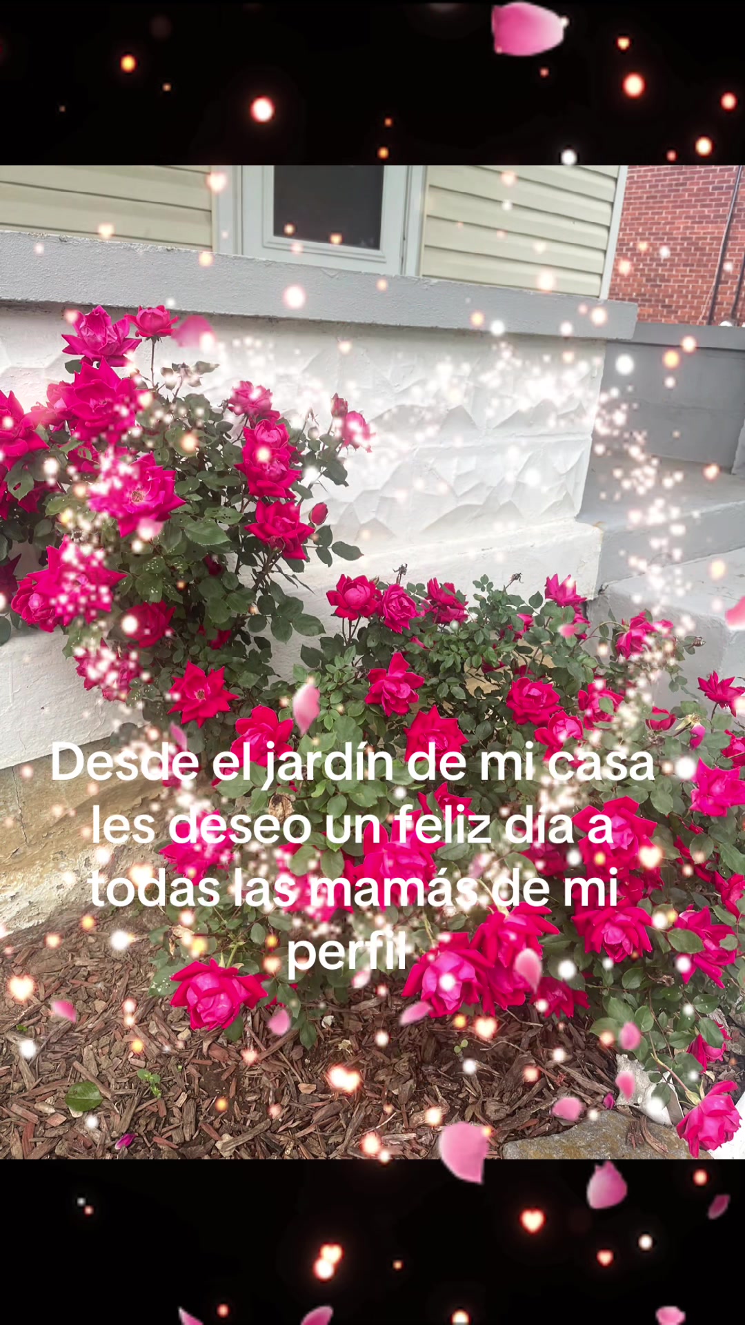 @Viviana