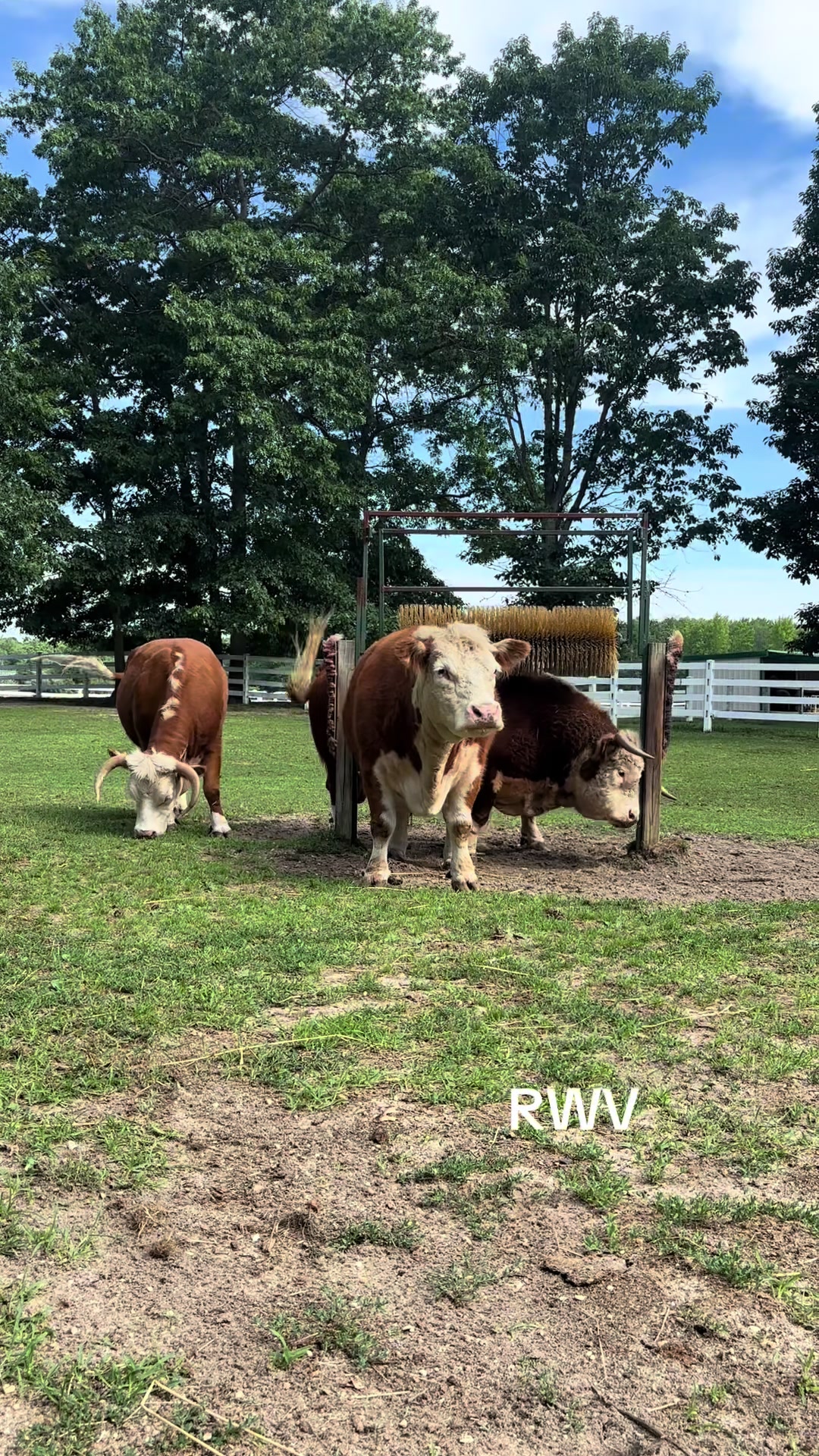 @RWV Land & Livestock