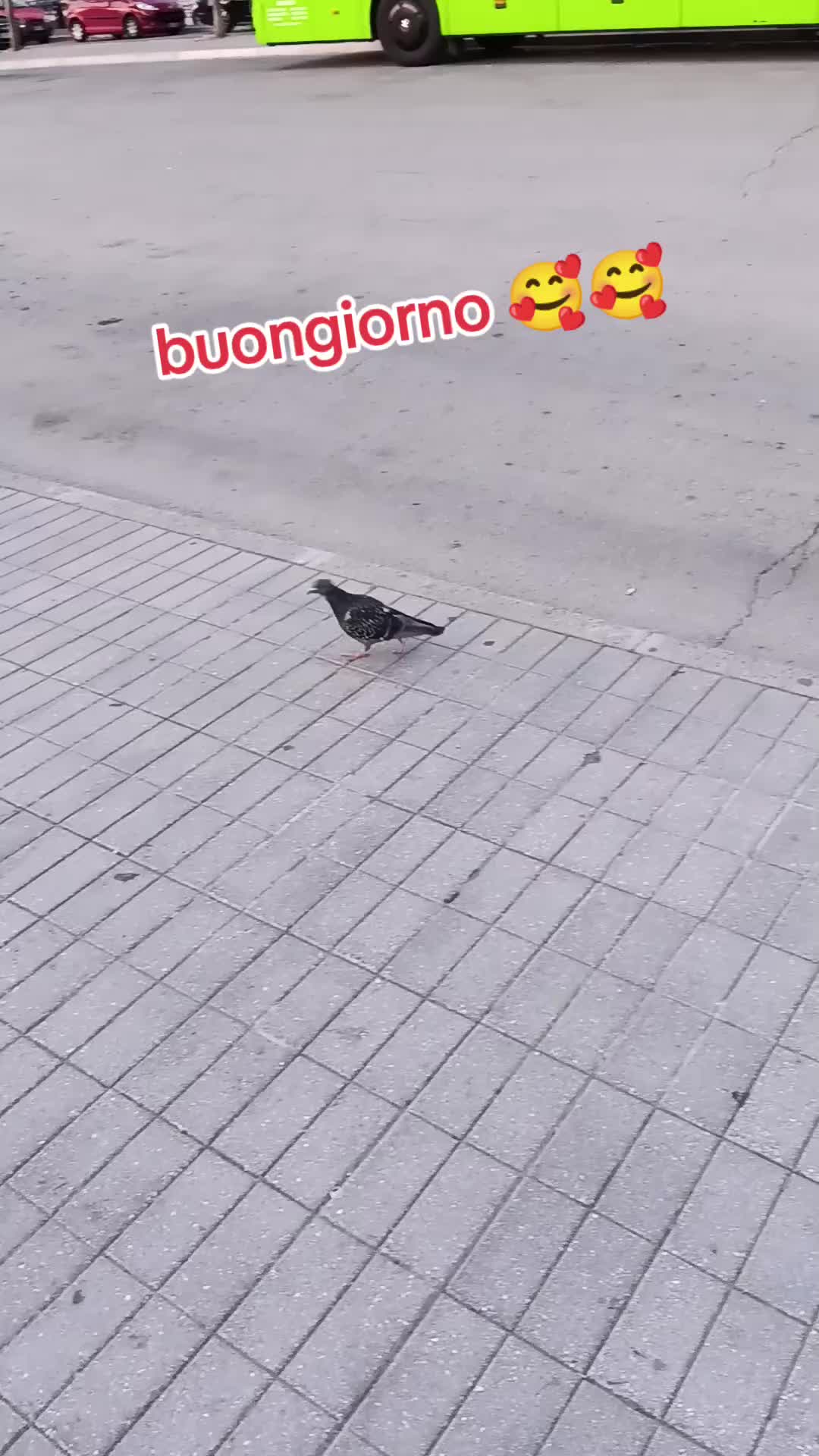 @ELE..meglio folli che noiosi
