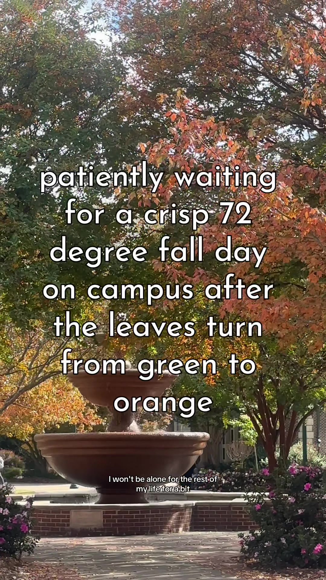 @Ole Miss