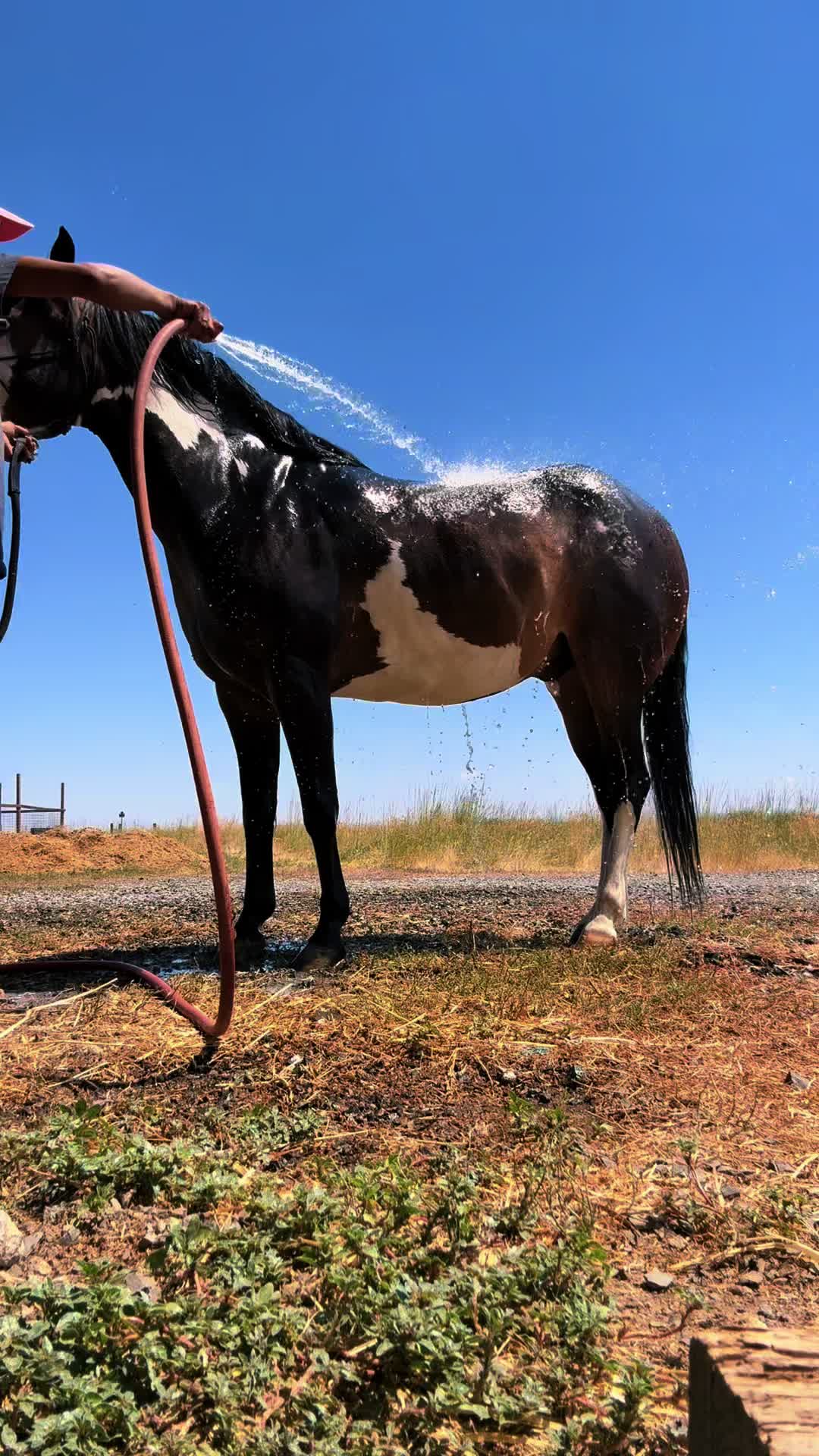 @Cowgirl Tuff Colt Training ❤️