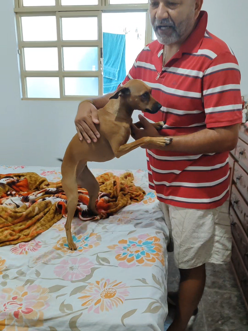 @Belinha e tiamara