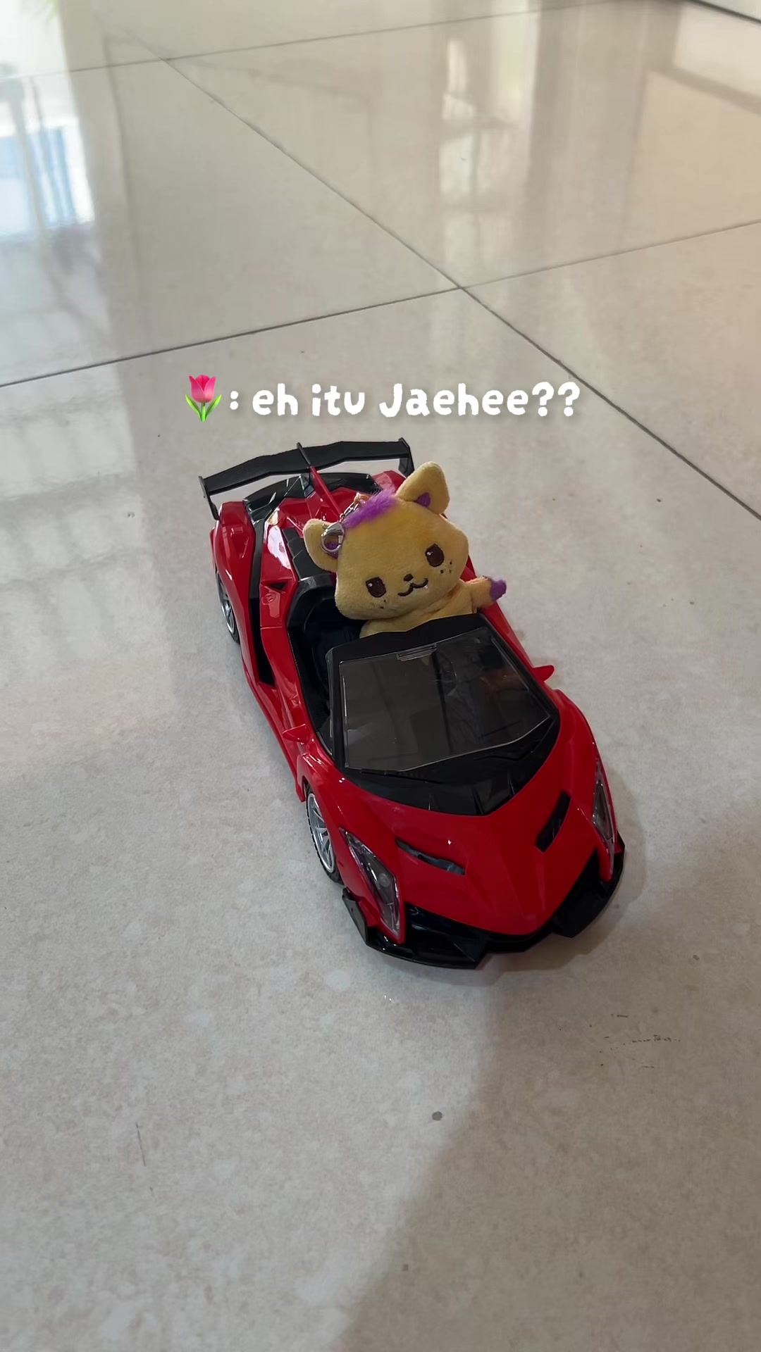 @maemae🐈⬛